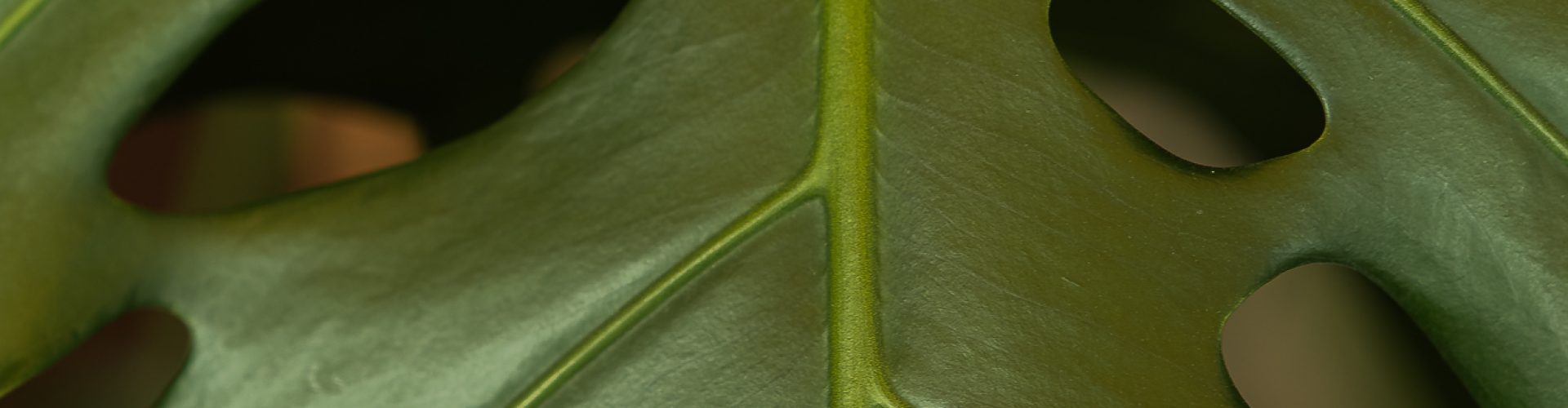 DSC01225
